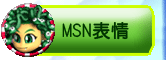 MSN����